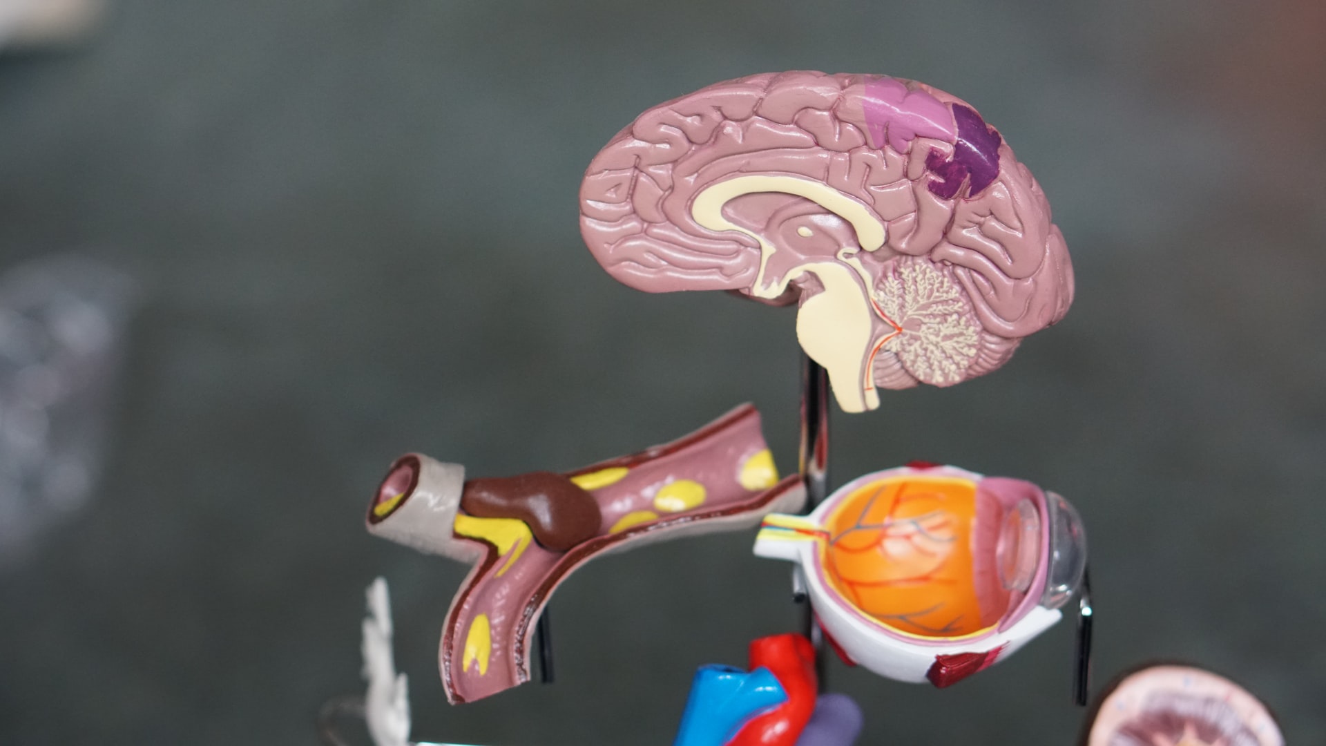 Nový způsob léčby následků cévní mozkové příhody